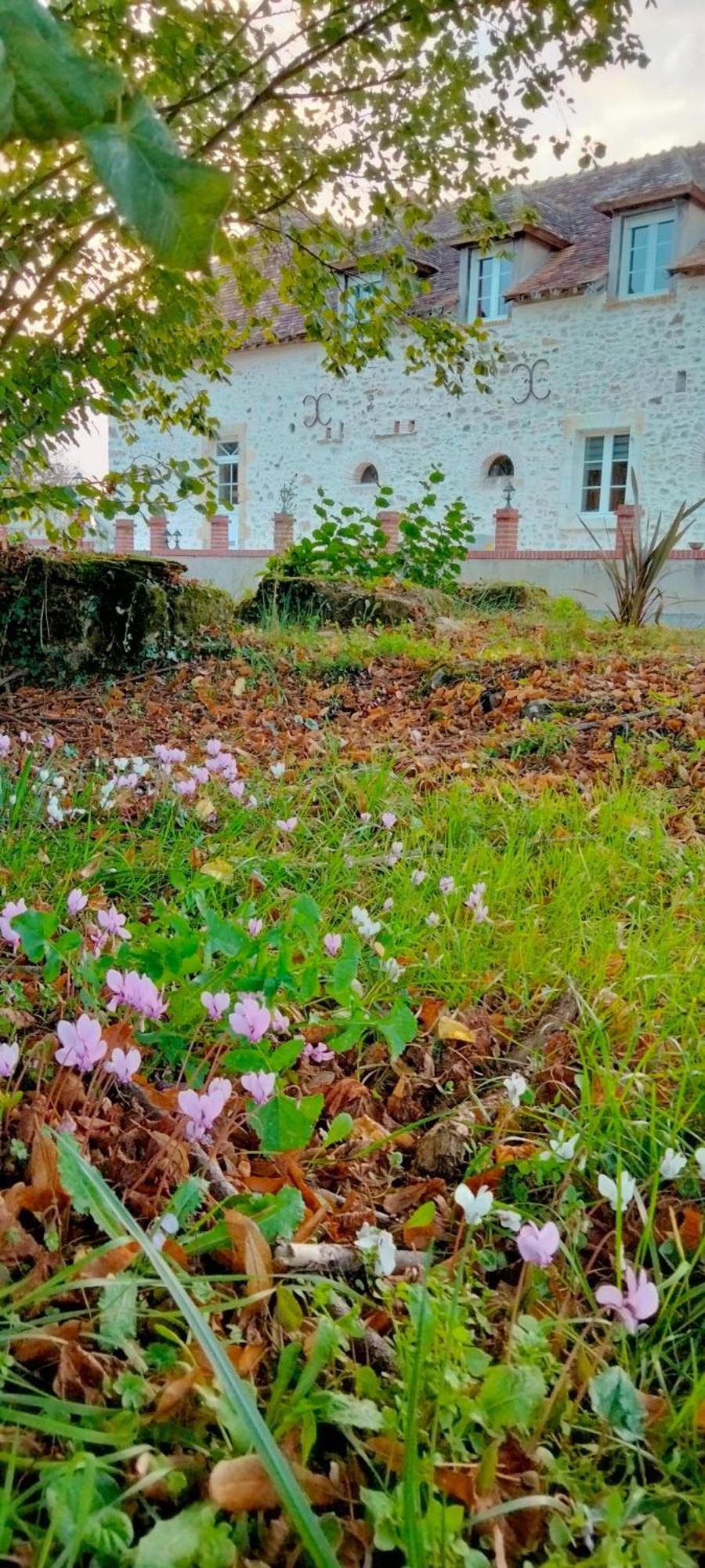 Gite & Chambre D'Hotes Du Moulin Villa Brûlon Екстериор снимка